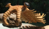 Anomalocaris